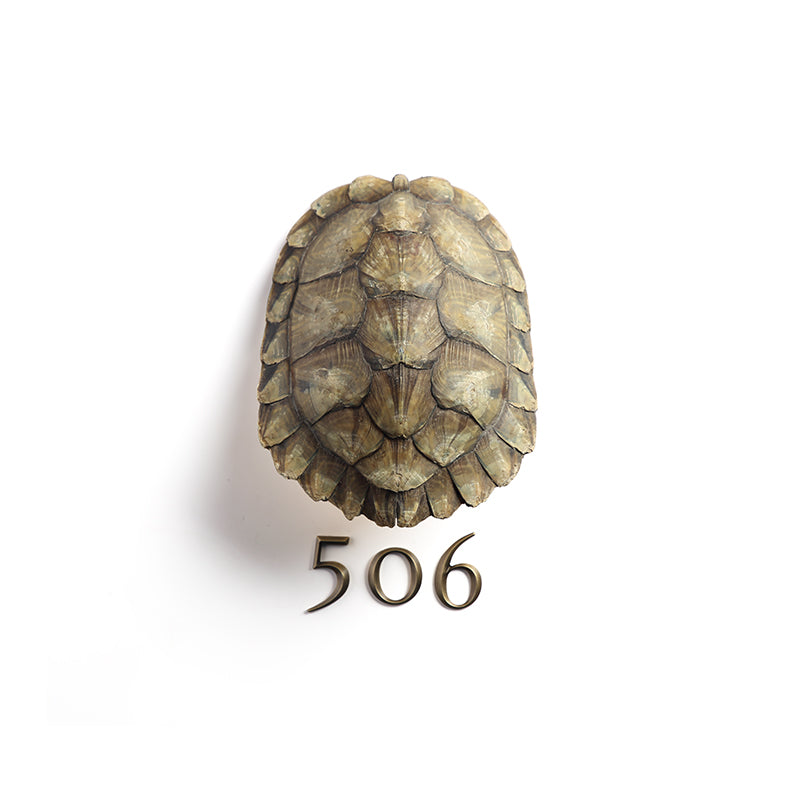 Turtle Shell Numbers Turtle Shell Lampshade Metal Number Sign Customized – MISHE SIGN